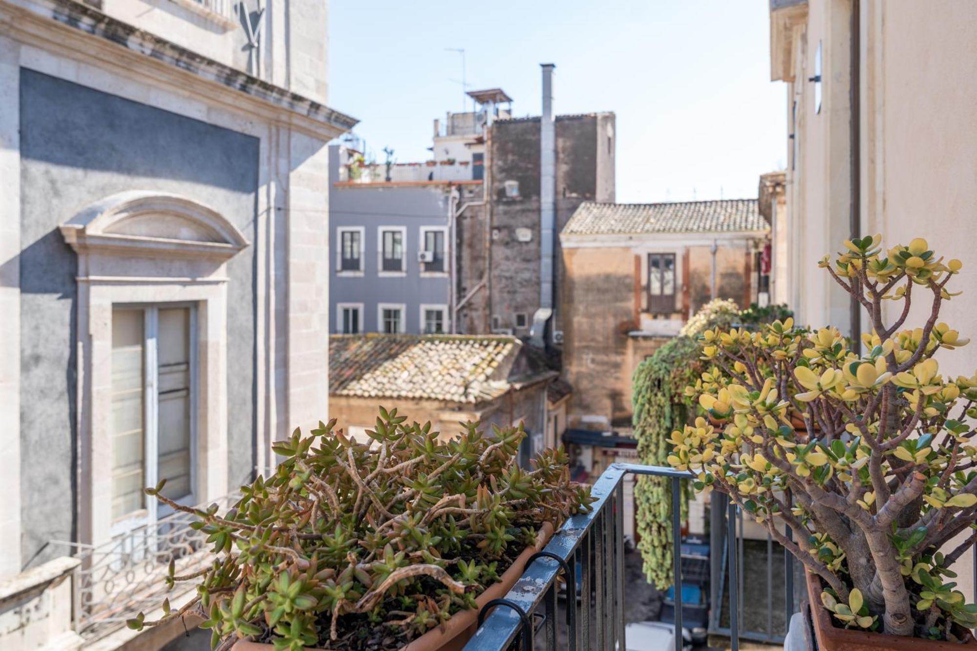Amenano Apartments カターニア エクステリア 写真
